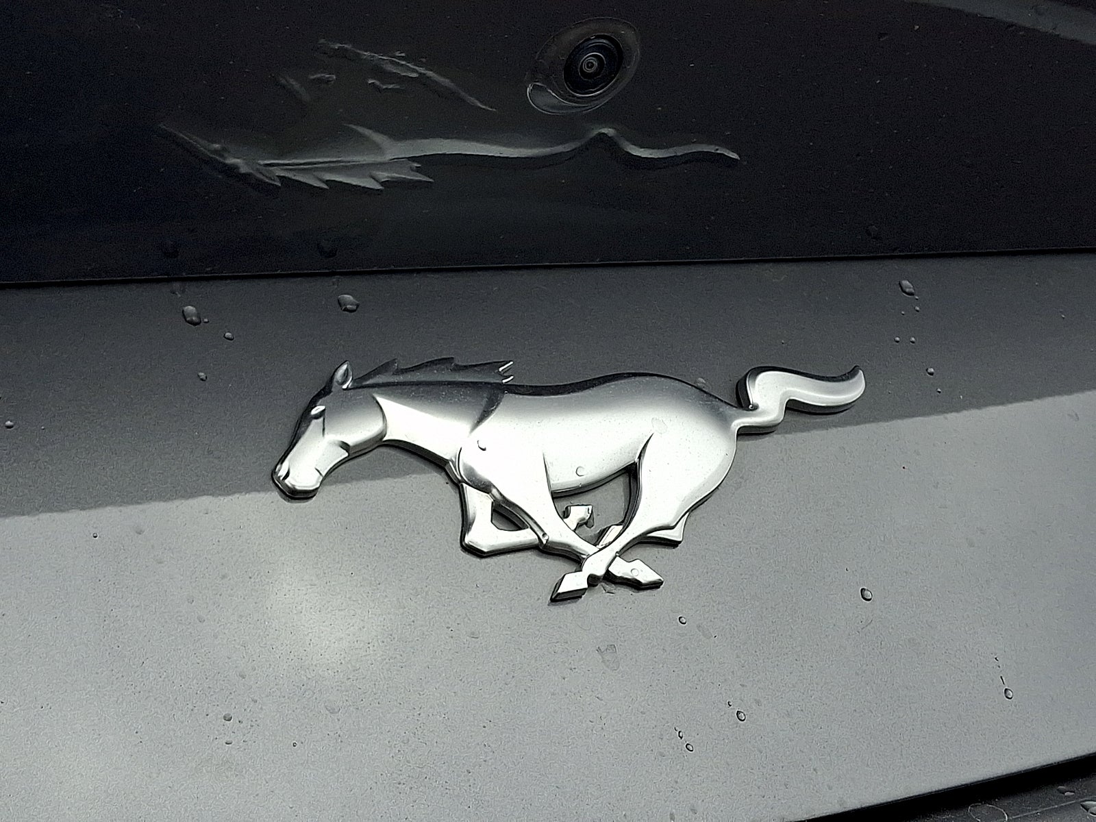 2024 Ford Mustang EcoBoost Fastback