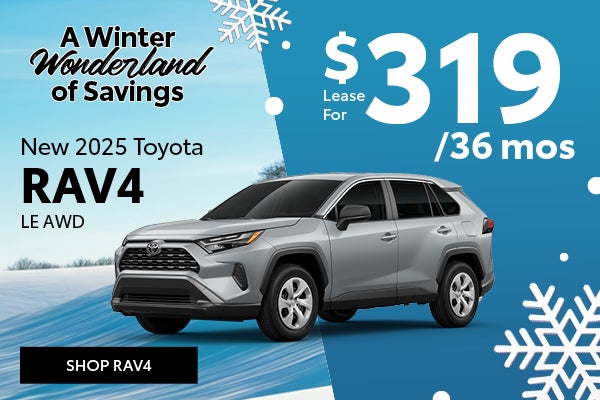 2025 Toyota RAV4 LE AWD